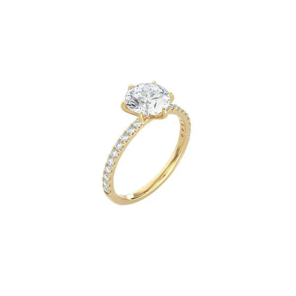 6 Prong Classic Round Ring with Pavé Band YG